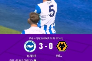 bob半岛体育官网-布莱顿3-0狼队，欣谢尔伍德、邓克闪击，明特破门