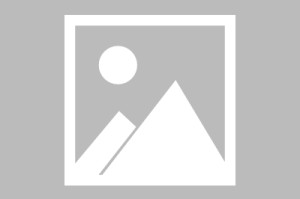 bob半岛体育官网-里夫斯生涯数据怎么样  答案在这里